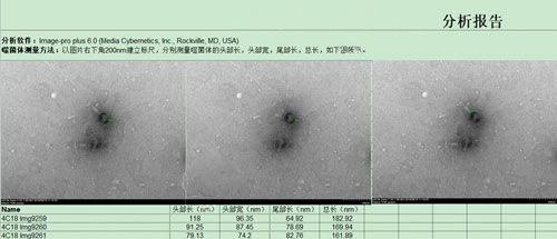 電鏡測量分析